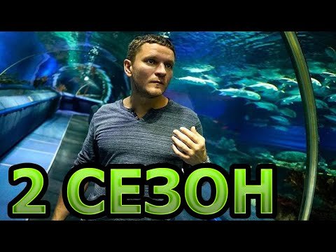 Дельфин 2 сезон 15 серия